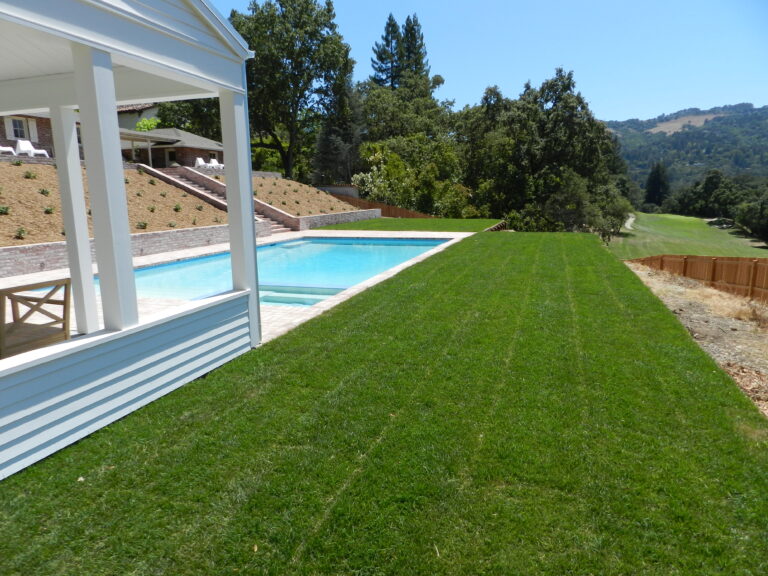 artificial turf in bay area