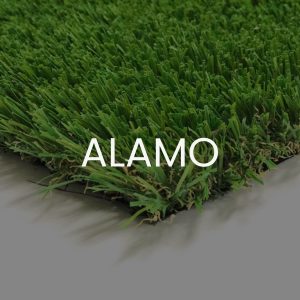 ALAMO