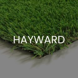 HAYWARD